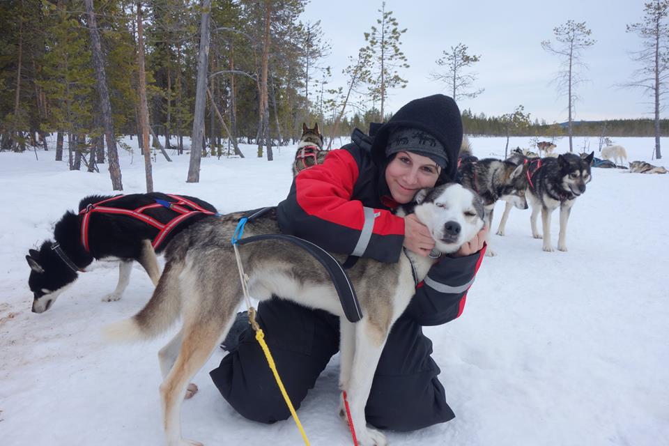Schlittenhunde: Lappland Silvester für Singles